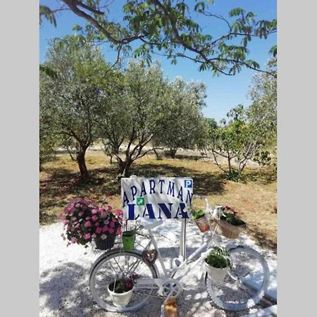 Apartman Lana Lozovac Dış mekan fotoğraf